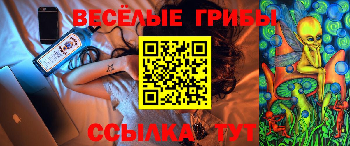 Псилоцибиновые грибы Magic Shrooms Новокуйбышевск