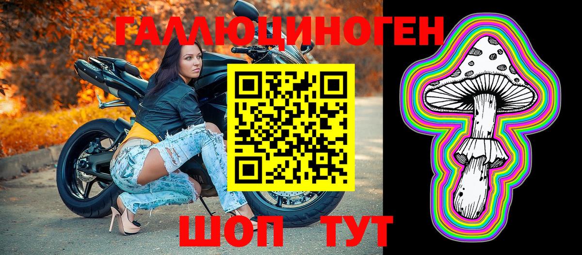 Галлюциногенные грибы Psilocybine cubensis  Вход с VPN  Новокуйбышевск 